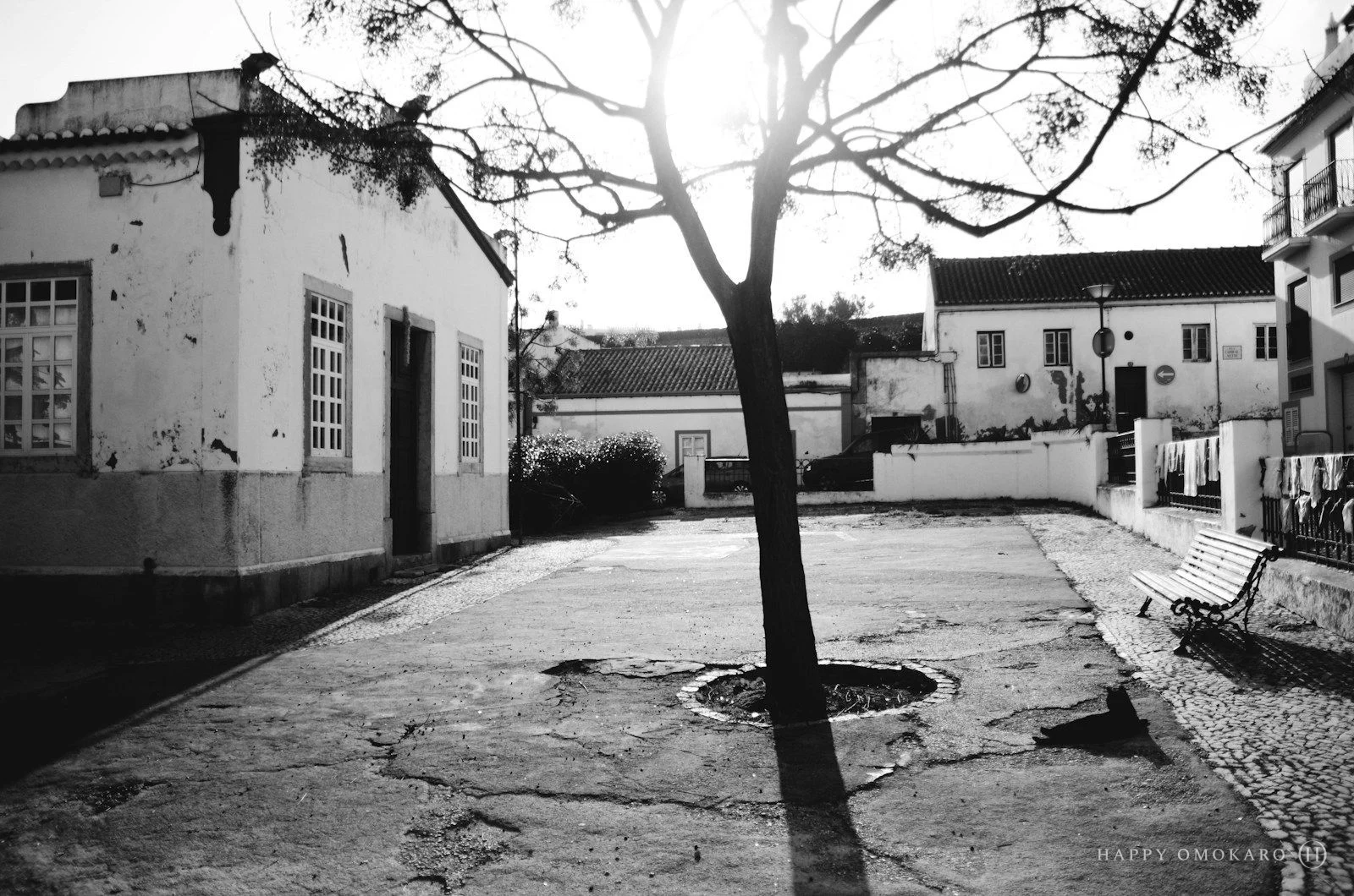 A black and white photograph of a single tree in a paved courtyard